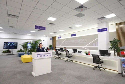 鏡觀回響 從一個區，看長三角更高水平開放下的貿易咨詢服務